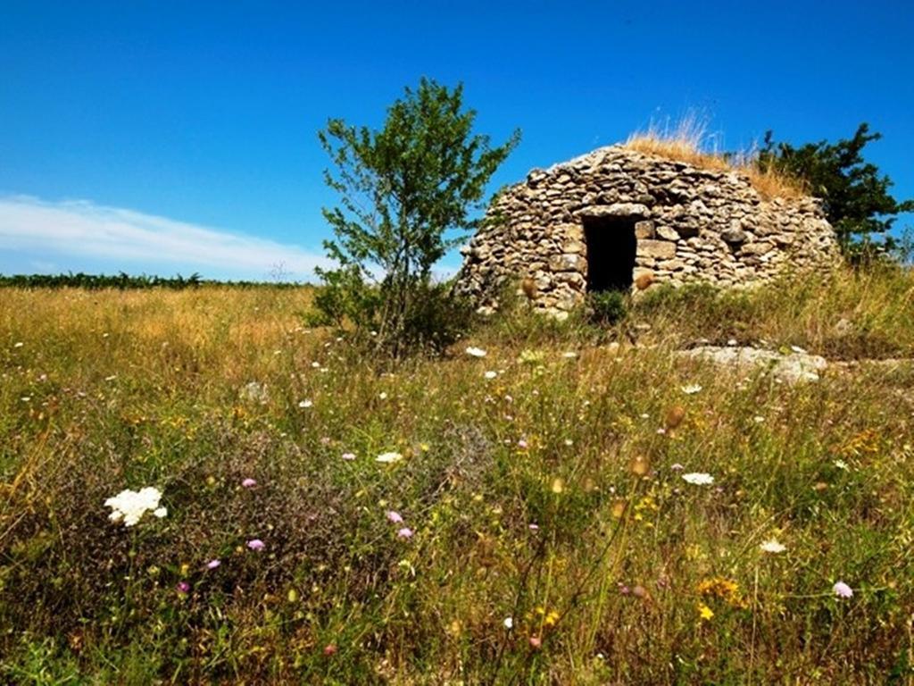 Cefalicchio B&B Каноса-ди-Пулья Экстерьер фото